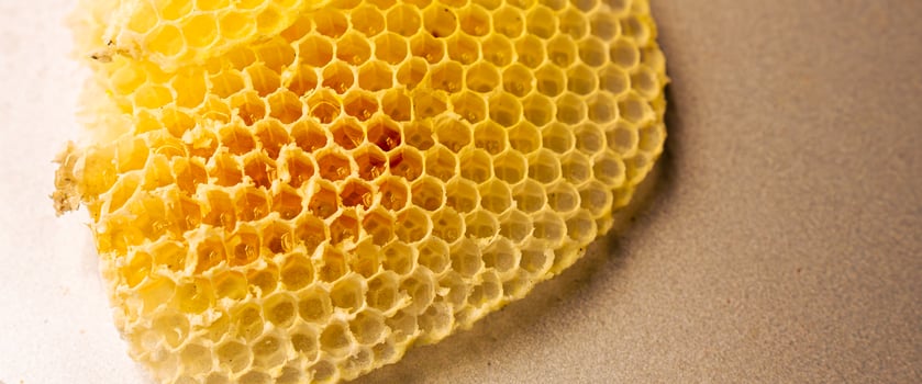 Close-up of a honeycomb slice with honey, featuring a detailed view of the hive's texture and hexagonal pattern. photo