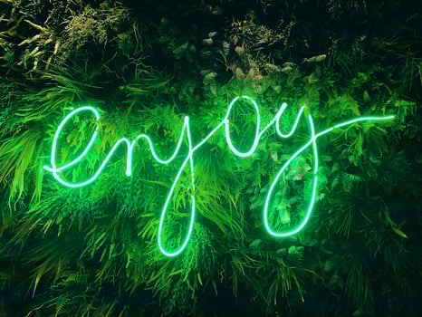 LED sign Enjoy. Live neon sign on the leaves wall background. photo