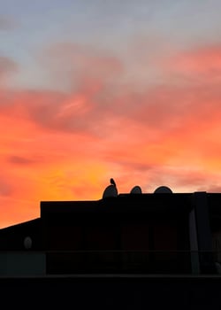 Dramatic sunset sky with shadow of an apartment building roof with a crow photo