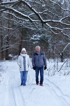 Happy senior couple at snowy winter park photo