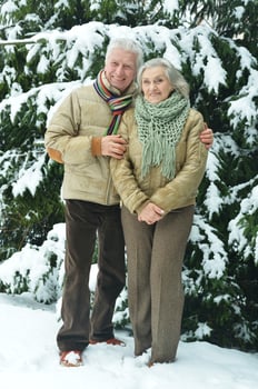 Happy senior couple at snowy winter park. photo