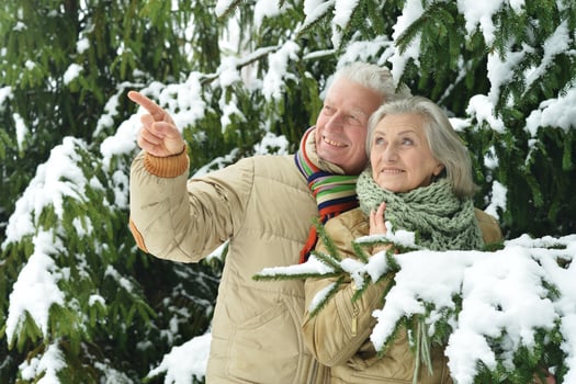 Happy senior couple walking in winter outdoors photo