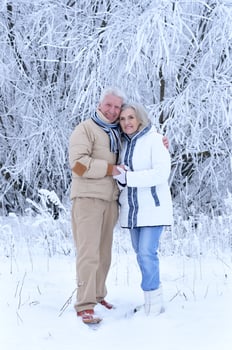 Beautiful senior couple hugging in winter park photo