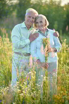 Portrait of beautiful senior couple in the park photo