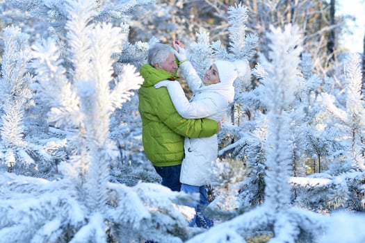 Portrait of happy senior couple dancing at winter park photo
