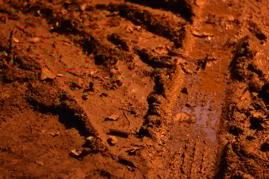 Muddy Tire Tracks at Night Illuminated by Yellow Hued Light photo