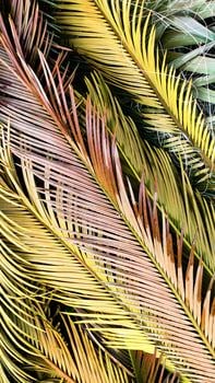 Tropical palm leaves lie on ground creating beautiful textured background, flat lay, vertical frame. photo