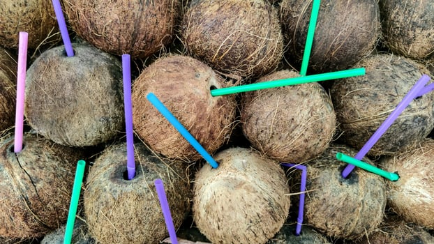 Background of coconut with colorful plastic cocktail drinking tubes. photo