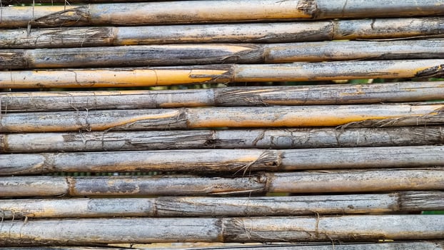 Background texture of dry bamboo cane, flat lay, vertical frame, close-up photo