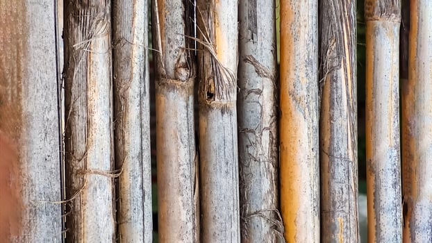 Background texture of dry reedreed cane. Flat lay, close-up photo