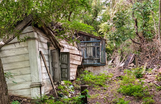 A rustic, abandoned house nestled amongst the trees, with peeling paint and a broken window photo