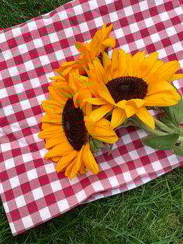 Bright sunflowers on red and white checkered cloth over green grass, picnic concept with a summer vibe for outdoor lifestyle design. ideal for summer themed designs, picnic event promotions photo