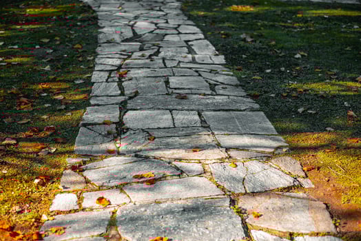 Path in a city park in autumn. Path with autumn leaves. Colorful foliage in autumn park. photo