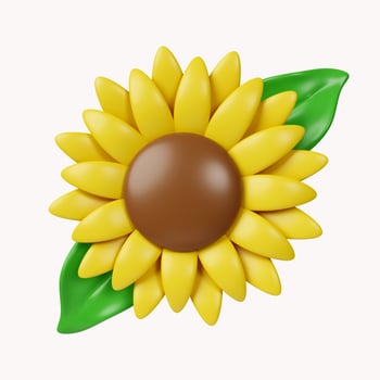 3d Sun flowers .icon isolated on white background. 3d rendering illustration. Clipping path. photo
