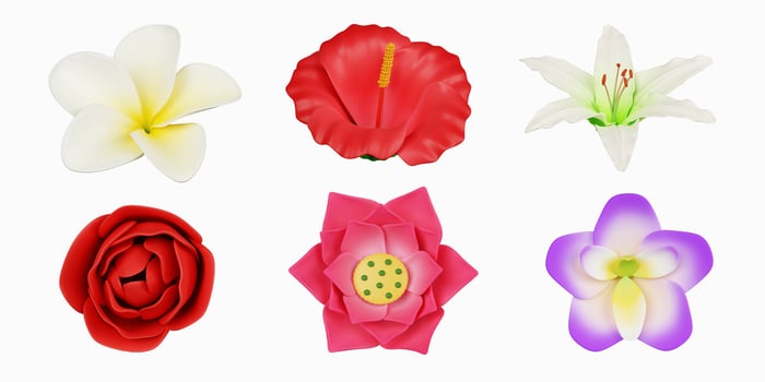 3d colorful flower set. icon isolated on white background. 3d rendering illustration. Clipping path. photo