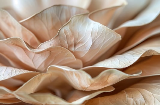 Beige Aesthetic Dried Leaves Delicate Background. Soft Wallpaper Texture of Transparent Macro Paper Leaves. photo