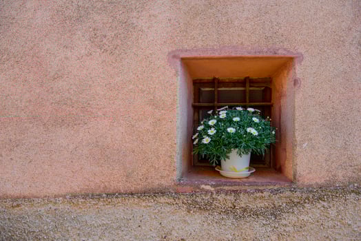 Window with vase of daisies photo