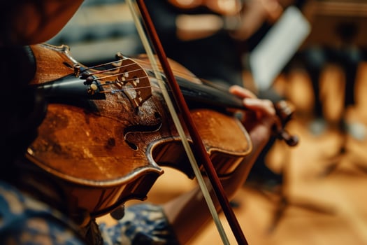 Talented musician playing violin cello in orchestra concert theatre opera musical talent skill classical music artistic performance string instrument intelligent person clear sound live photo