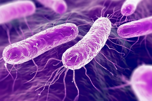 Microscopic bacteria coli infection intestinal micro germ microbe bacterium mold health organism medical treatment microorganism disease bacillus pathogen illness microbiology research photo