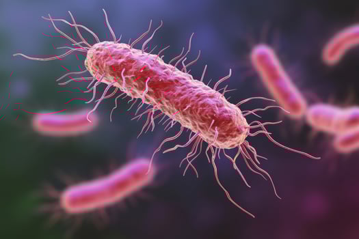 Microscopic bacteria coli infection intestinal micro germ microbe bacterium mold health organism medical treatment microorganism disease bacillus pathogen illness microbiology research photo