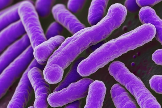 Microscopic bacteria coli infection intestinal micro germ microbe bacterium mold health organism medical treatment microorganism disease bacillus pathogen illness microbiology research photo