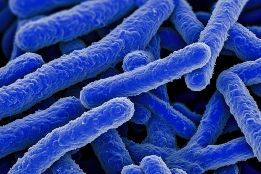 Microscopic bacteria coli infection intestinal micro germ microbe bacterium mold health organism medical treatment microorganism disease bacillus pathogen illness microbiology research photo