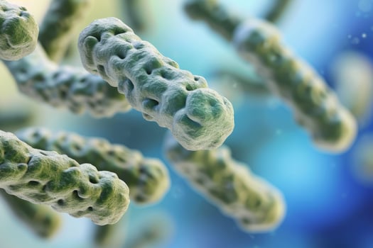 Microscopic bacteria coli infection intestinal micro germ microbe bacterium mold health organism medical treatment microorganism disease bacillus pathogen illness microbiology research photo
