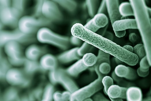 Microscopic bacteria coli infection intestinal micro germ microbe bacterium mold health organism medical treatment microorganism disease bacillus pathogen illness microbiology research photo