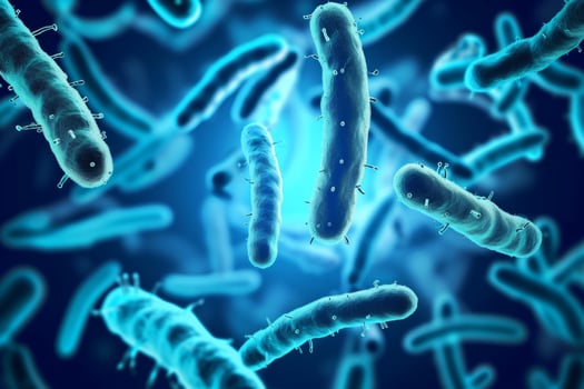 Microscopic bacteria coli infection intestinal micro germ microbe bacterium mold health organism medical treatment microorganism disease bacillus pathogen illness microbiology research photo