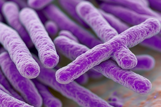Microscopic bacteria coli infection intestinal micro germ microbe bacterium mold health organism medical treatment microorganism disease bacillus pathogen illness microbiology research photo