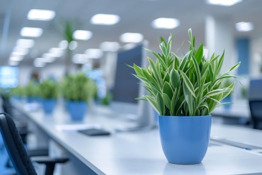 Modern office space with plants and bright rooms for startup work perfect environment simple minimalism corridor room individual workplace green and sustainable photo