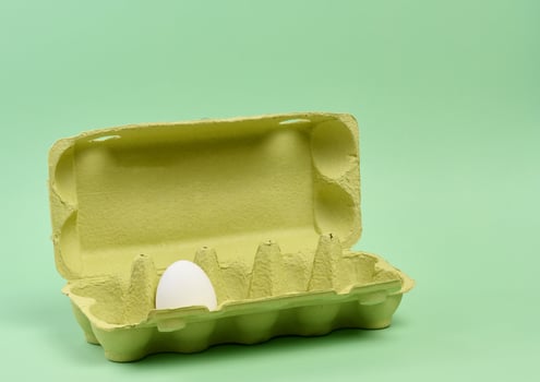 One white egg in a paper box on a green background photo
