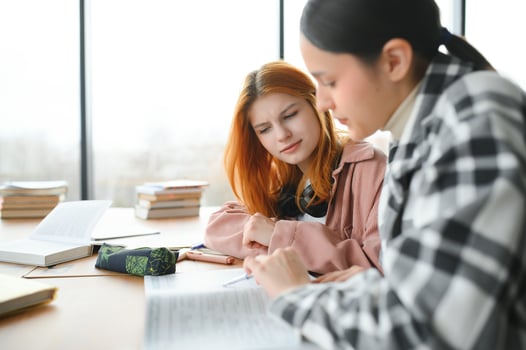 Group of college students doing homework photo