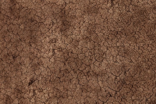 Dry cracked soil during drought photo