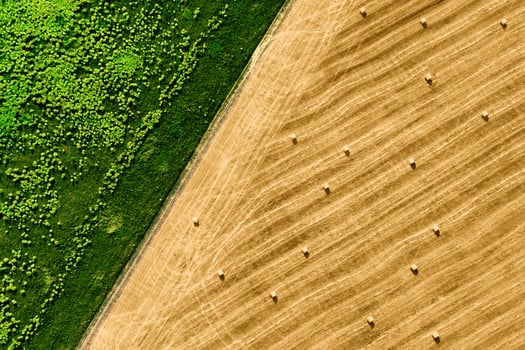 Hay on field aerial top view. Haying photo