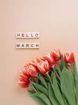 Hello march concept photo