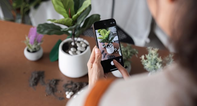 A young Asian woman uses her phone to take photos and enjoys planting plants in her garden to create a pleasant atmosphere in the house.
