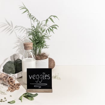 Organic vegetables, almond, plant no lactose milk and house plant on white background photo