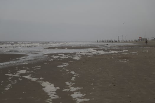 foam at the beach, winter in the Netherlands photo