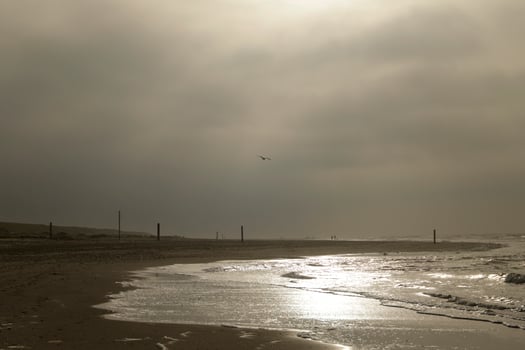 high tide line on the beach, separation between sea and beach photo