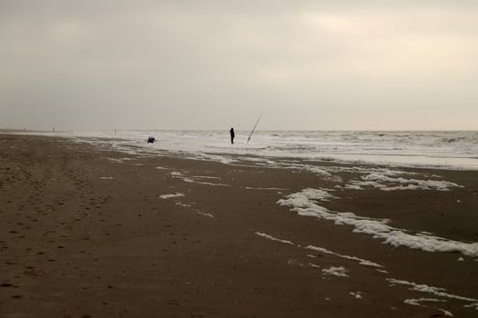 high tide line on the beach, separation between sea and beach photo