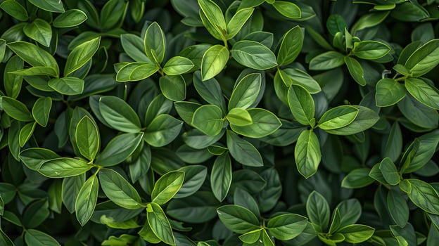 A close up of green leaves on a wall photo