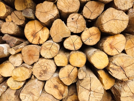 Pile of forest logs arranged for firewood photo