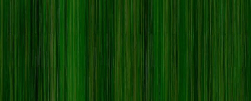 Dark Green Bamboo Texture, Elegant Background for Professional Settings photo
