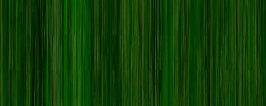 Dark Green Bamboo Texture, Elegant Background for Professional Settings photo