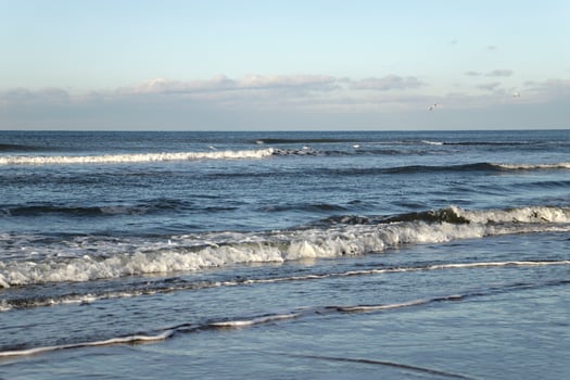 north sea beach, netherlands photo