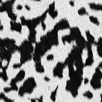 Close-up Shot of Natural Cowhide Texture Background photo