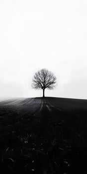 Solitary Tree Landscape photo