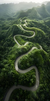 Serene River Through Forest photo