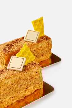 Honey pastry with fine sponge crumbs and chocolate honeycomb photo